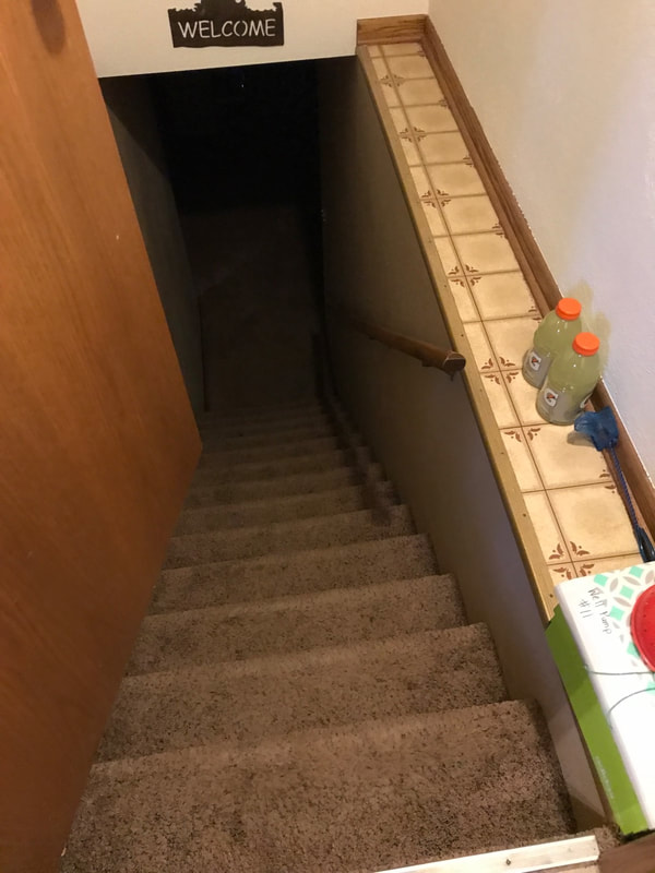 Door opening over stairs and no continuous handrail is dangerous to go up and down steps observed by Dairyland Home Inspection. 